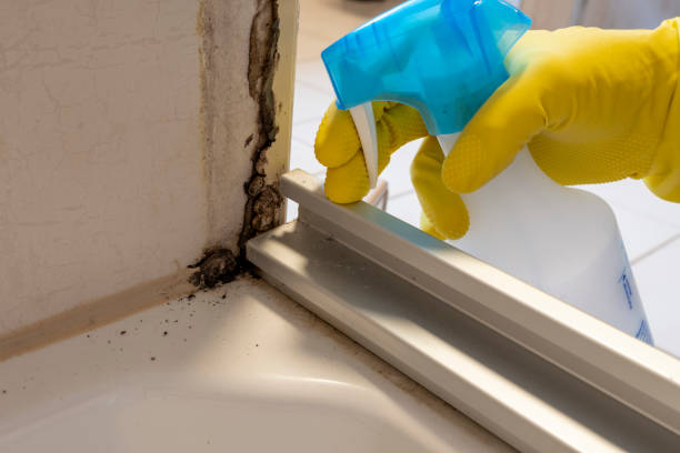 Best Post-Remediation Services in Porcupine, SD